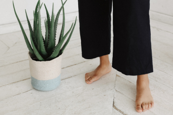 Person Standing Beside Aloe Vera Plant Person Standing Beside Aloe Vera Plant