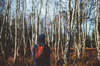 person standing in front of forest person standing in front of forest