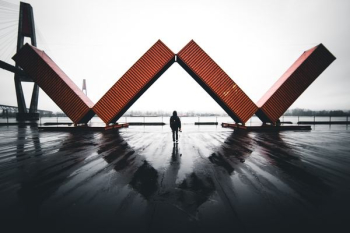 person standing near filed intermodal containers person standing near filed intermodal containers