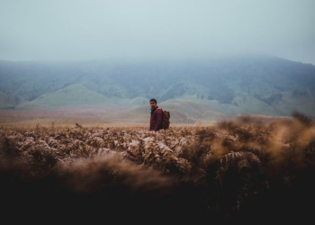 person standing on wheat field person standing on wheat field