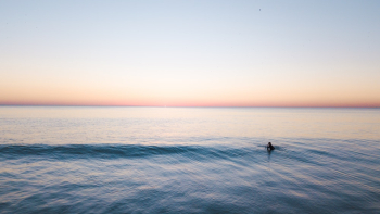 Person Swimming In The Sea Person Swimming In The Sea