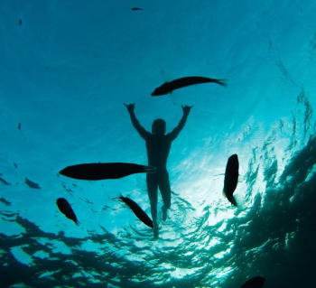 person swimming under sea person swimming under sea