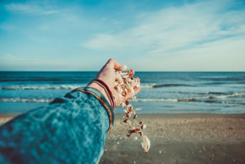 person throwing seashells on seashore person throwing seashells on seashore