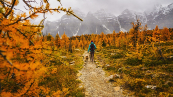 Person Walking On Path Person Walking On Path