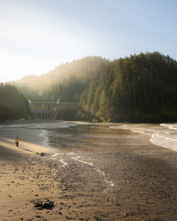 Person Walking on Sand