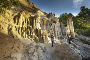 Person Walking on Terrain Person Walking on Terrain