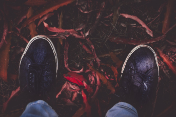 Person Wearing Black Shoes Person Wearing Black Shoes
