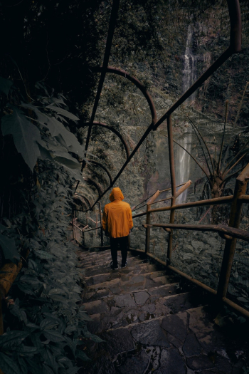 Person Wearing Orange Hoodie Person Wearing Orange Hoodie