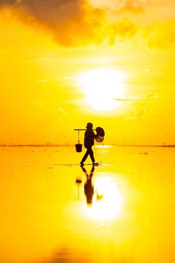 Person with Bucket on Beach at Golden Sunrise Person with Bucket on Beach at Golden Sunrise