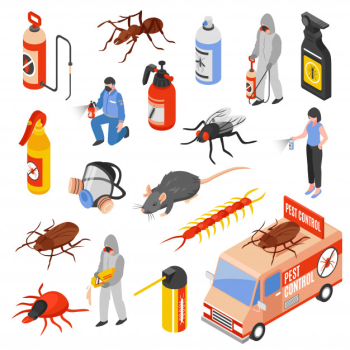 Pest control 3d isomeric set Free Vector Pest control 3d isomeric set Free Vector