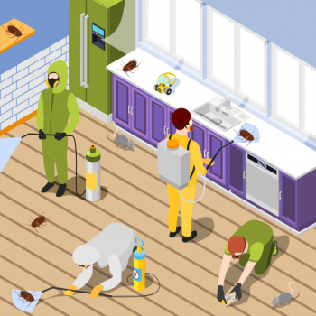 Pest control isometric background Free Vector Pest control isometric background Free Vector