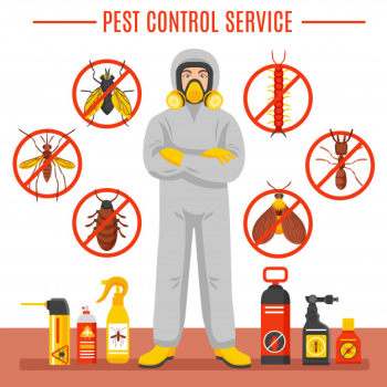 Pest control service illustration Pest control service illustration