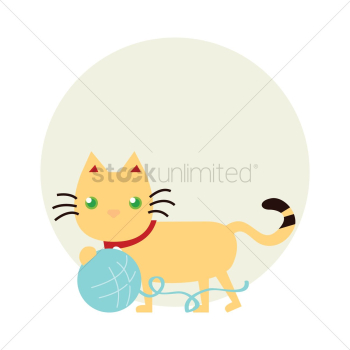 Pet cat Pet cat