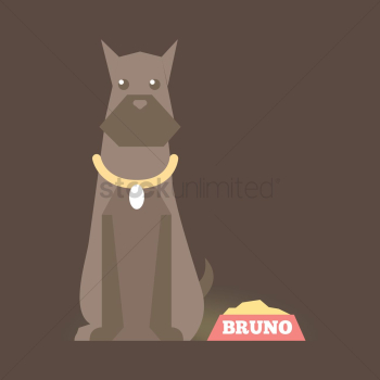 Pet dog Pet dog