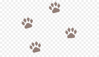 Pet sitting Dog Cat Puppy Paw - Dog paw prints Pet sitting Dog Cat Puppy Paw - Dog paw prints