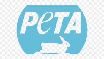 Peta Criticizes Northeastern&#39;s Use Of Glue Rat Traps - People For The Ethical Treatment Of Animals