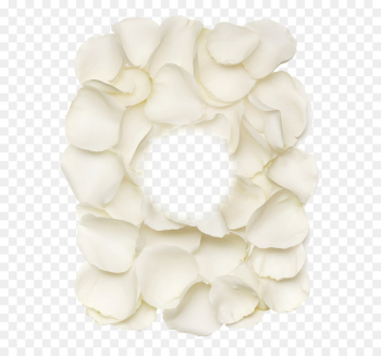 Petal Beach rose Flower - White rose petals Petal Beach rose Flower - White rose petals