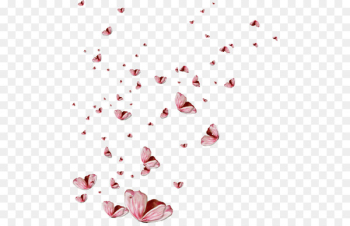 Petal Butterfly effect Clip art - butterfly Petal Butterfly effect Clip art - butterfly