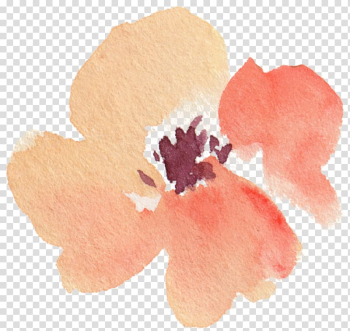 Petal Chemical element Leaf, Leaves falling leaves element element transparent background PNG clipart