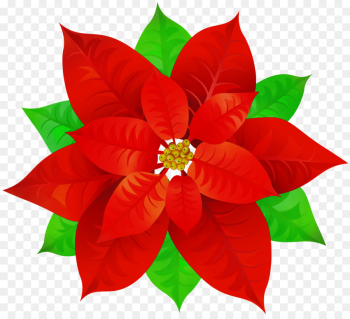 Petal, Christmas Ornament, Cut Flowers, Flower, Poinsettia PNG Petal, Christmas Ornament, Cut Flowers, Flower, Poinsettia PNG