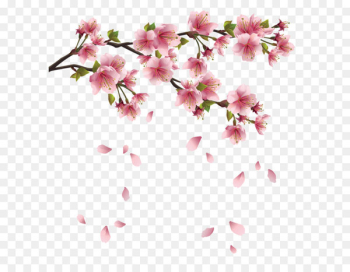 Petal Clip art - Beautiful Pink Spring Branch with Falling Petals PNG Clipart 
