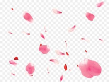 Petal Download Clip art - Falling Petals Petal Download Clip art - Falling Petals