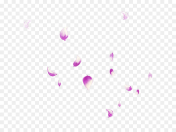 Petal - Falling Petals Petal - Falling Petals