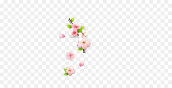 Petal Floral design Computer Pattern - Plum flower Petal Floral design Computer Pattern - Plum flower