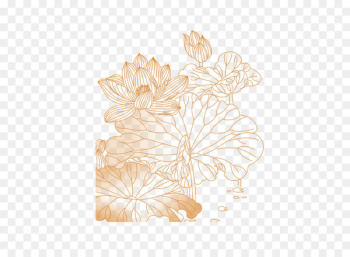 Petal Floral design Flower Pattern - Lotus Petal Floral design Flower Pattern - Lotus