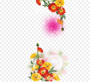 Petal Flower - Beautiful background Petal Flower - Beautiful background