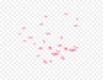 Petal Flower - Falling Petals Petal Flower - Falling Petals