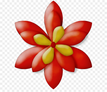 petal flower frangipani plant petal flower frangipani plant