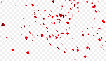 Petal Flower Heart Love Download - Rose petal Petal Flower Heart Love Download - Rose petal
