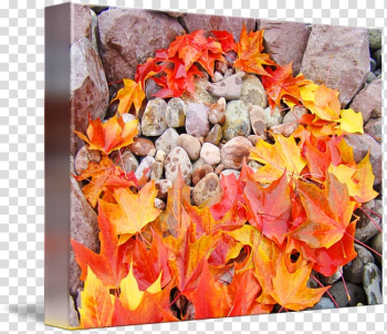 Petal Flower Leaf Autumn, autumn poster transparent background PNG clipart Petal Flower Leaf Autumn, autumn poster transparent background PNG clipart