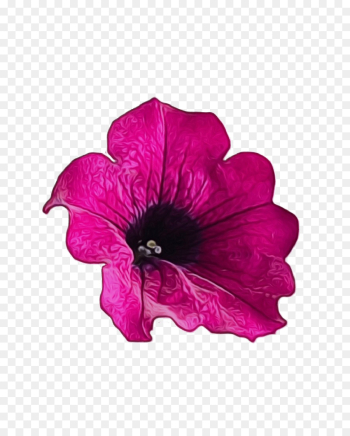 petal flower pink violet petunia petal flower pink violet petunia