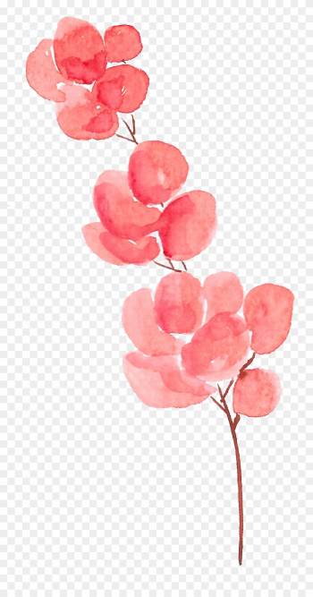 Petal Flower Watercolor Painting - Watercolor Flowers Transparent Background Flowers Png