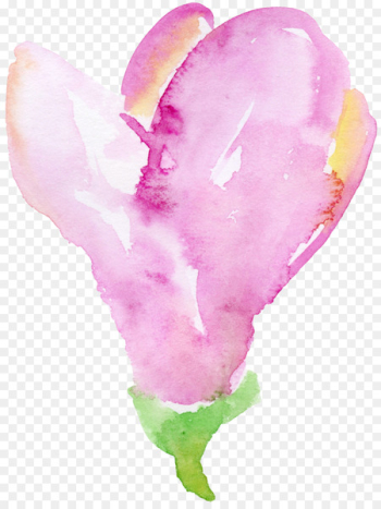 Petal Leaf Chemical element Transparency and translucency - Leaves falling leaves element transparent element 