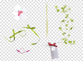 Petal Leaf, Vines Ribbon transparent background PNG clipart