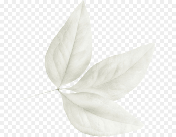 Petal Leaf White - Leaf 