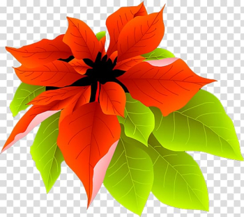 Petal, Leaves transparent background PNG clipart Petal, Leaves transparent background PNG clipart