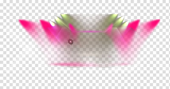 Petal , Light effect transparent background PNG clipart Petal , Light effect transparent background PNG clipart