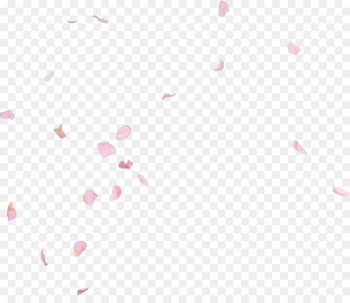 Petal Natural history P!nk Pattern - Rose petal Petal Natural history P!nk Pattern - Rose petal