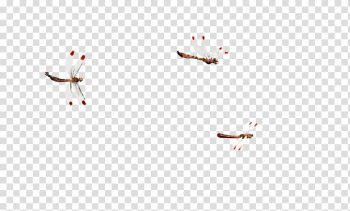 Petal Pattern, dragonfly transparent background PNG clipart Petal Pattern, dragonfly transparent background PNG clipart