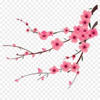 Petal Peach Blossom Flower - Transparent Peach Cherry Blossom