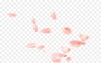 Petal Pink Flower Symbol - Pink rose petals Petal Pink Flower Symbol - Pink rose petals