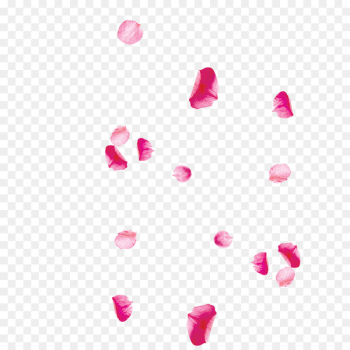 Petal Portable Network Graphics Pink Image Design - flower petals 