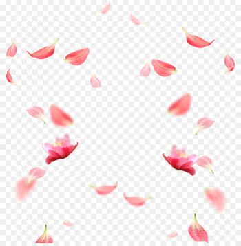 Petal RGB color model Download - Cherry blossom petals picture material 