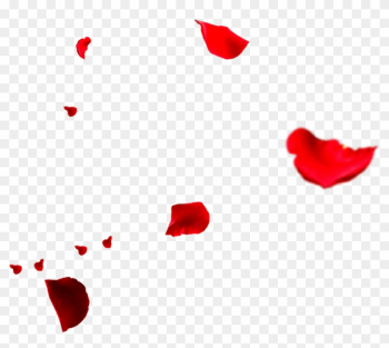 Petal Rose Flower - Rose Petals Falling Png