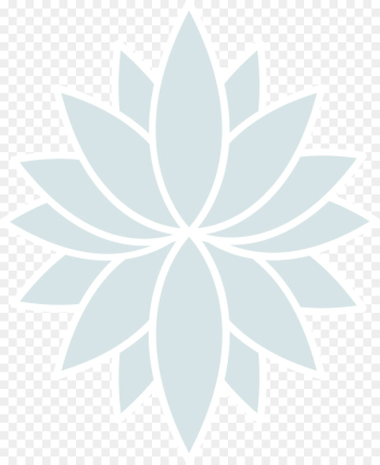 Petal, Symbol, Line, White, Leaf PNG