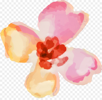 Petal, Watercolor Painting, Painting, Pink PNG Petal, Watercolor Painting, Painting, Pink PNG